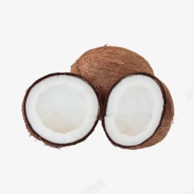 棕色椰子椰子果实图标图标
