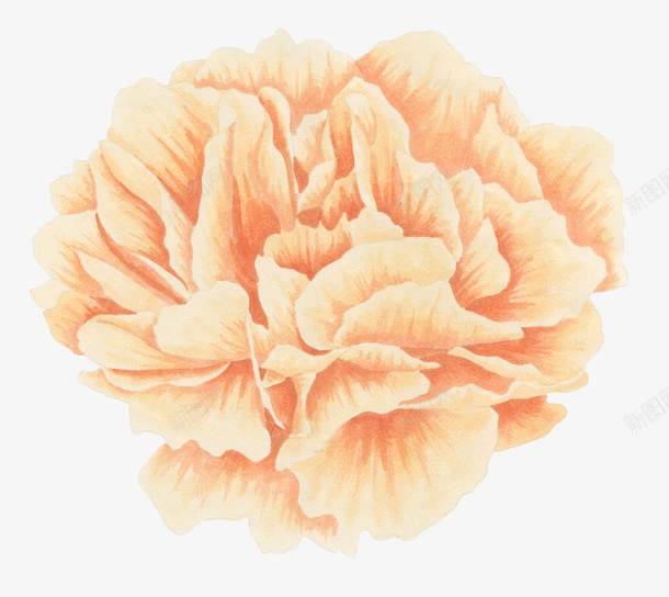 水彩手绘植物花卉png免抠素材_88icon https://88icon.com 手绘 植物 水彩 水彩手绘植物花卉 花卉 黄色