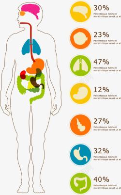 人体肠道指数元素素材