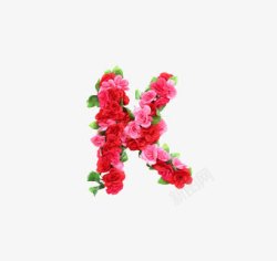 k英文字母花朵元素素材