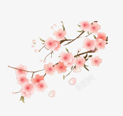 枝头的花卡通手绘粉色的花卉高清图片