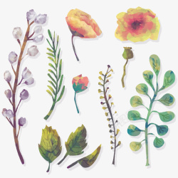 11款水彩绘花朵和叶子矢量图素材