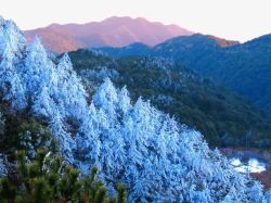 冬季九仙山风景区素材