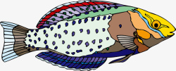 生物世界鱼矢量图素材