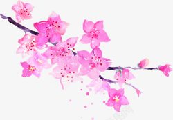 粉色美景水彩花朵素材