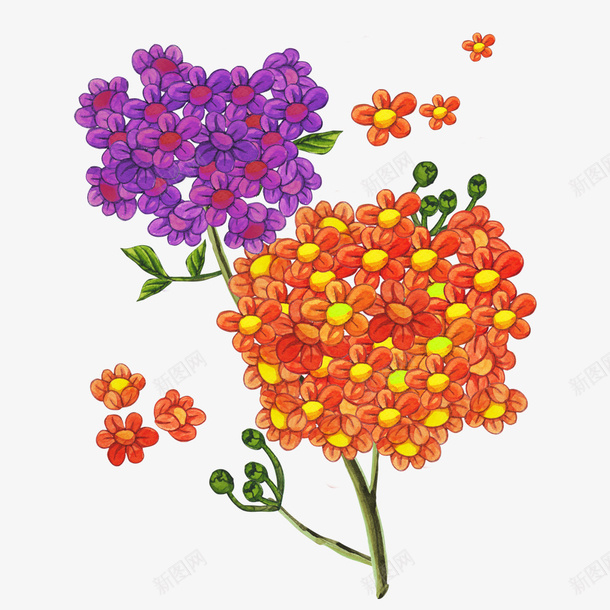 手绘植物花卉png免抠素材_88icon https://88icon.com 彩绘花 彩绘花卉 手绘 手绘植物花卉 手绘花 花卉装饰 花朵手绘