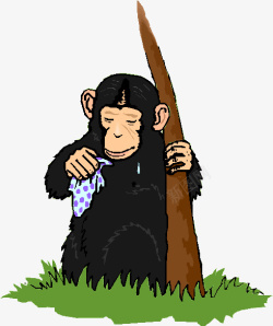 棕色猿猴黑色猿猴高清图片