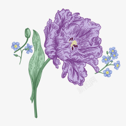 水彩绘紫色花卉素材