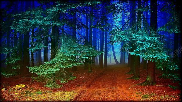 清晨雾未散的乡间小路jpg设计背景_88icon https://88icon.com 乡间 小路 晨雾