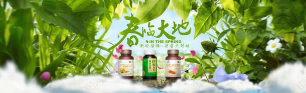 绿色食品banner背景