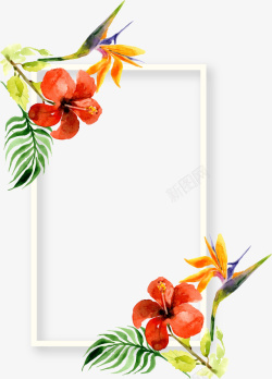 精美水彩装饰花卉画框矢量图素材