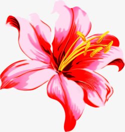 水彩粉色花朵插画素材
