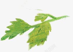 绿色草本植物彩绘风格素材