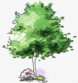 漫画手绘绿色园林植物素材