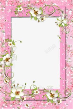 一个粉色鲜花的相框素材