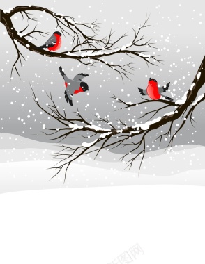 冬季下雪鸟插画矢量背景模板背景