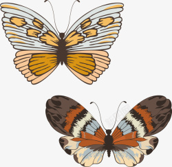 两只彩色的蝴蝶元素矢量图素材