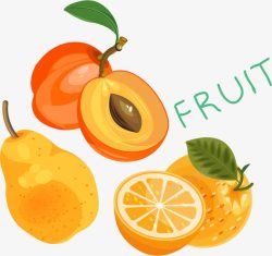 水果橙子杏梨矢量图素材
