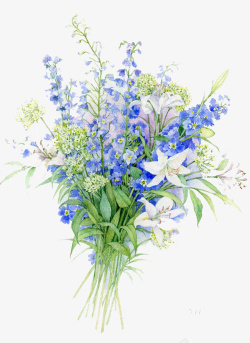水彩鲜花素材