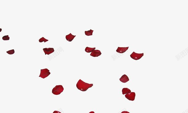 情人节妇女节三八节花瓣png免抠素材_88icon https://88icon.com 婚纱照花瓣 玫瑰花花瓣 节日 飘落装饰 鲜花