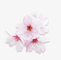 粉色清新桃花花朵装饰图案素材