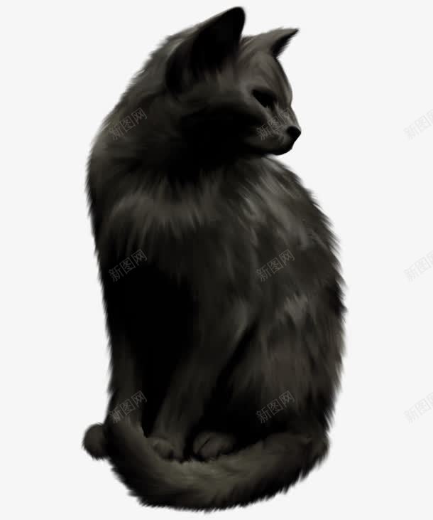 高冷黑猫png免抠素材_88icon https://88icon.com 光滑 孤独 高冷 黑猫