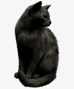 高冷黑猫素材