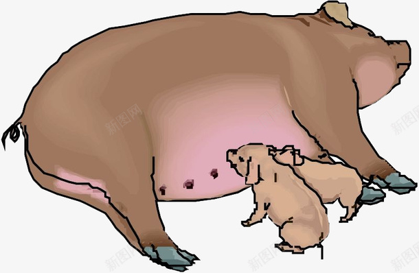 手绘吃奶的猪png免抠素材_88icon https://88icon.com 吃奶的猪 手绘 手绘画 猪