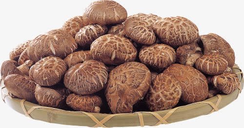 一篮蘑菇png免抠素材_88icon https://88icon.com 菌类 蘑菇 食材 食物 香菇