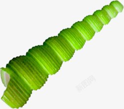 绿色长条海螺素材
