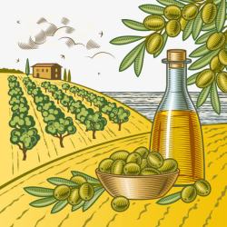 橄榄油瓶橄榄油矢量图高清图片