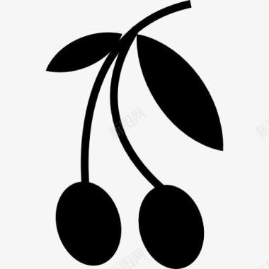 椰子叶橄榄图标图标