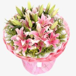 百合花的心缘素材
