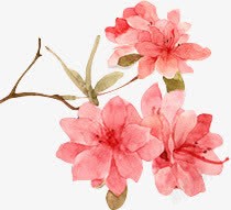 粉色手绘花朵唯美水墨素材