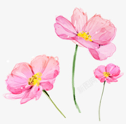 粉色水彩小清新花朵装饰图案素材