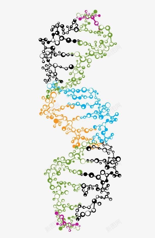 基因png免抠素材_88icon https://88icon.com 卡通画 基因 彩色