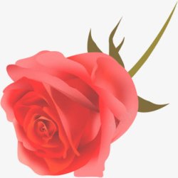 手绘单支玫瑰花朵艺术素材