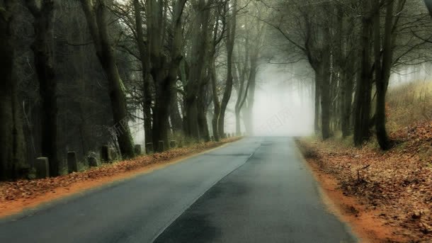 雾蒙蒙的乡间小路背景