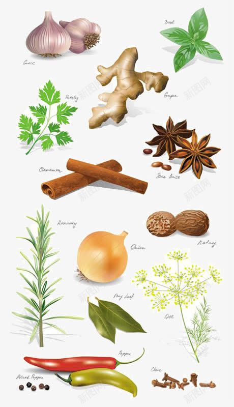 调味品png免抠素材_88icon https://88icon.com 卡通 美味 调味 饭菜