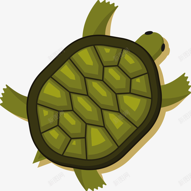一只绿色小乌龟矢量图eps免抠素材_88icon https://88icon.com 乌龟PNG 卡通乌龟 小乌龟 矢量乌龟 矢量小乌龟 绿色乌龟 矢量图