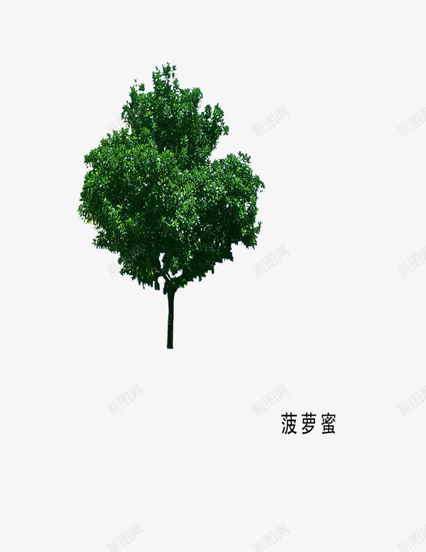 木本植物png免抠素材_88icon https://88icon.com 环艺设计 绿色 菠萝蜜