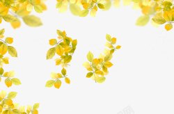 黄色简约树叶边框纹理素材