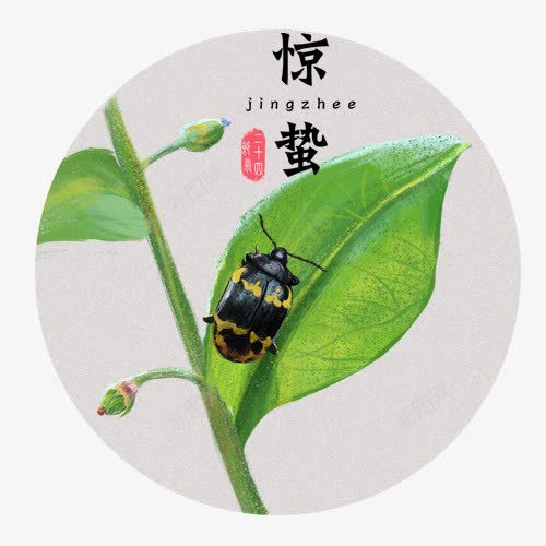 彩色简约装饰惊蛰标签png免抠素材_88icon https://88icon.com 传统节气 卡通动物 圆形标签 惊蛰 设计图 设计标签