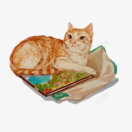 调皮小猫手绘画png免抠素材_88icon https://88icon.com 书籍 傲娇表情 卧姿 色彩画 黄猫