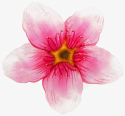 粉红色手绘花朵素材