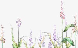 紫色铃兰花朵植物素材