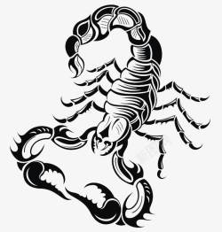卡通手绘蝎子纹身素材
