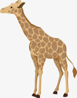 一只动物园长颈鹿矢量图素材