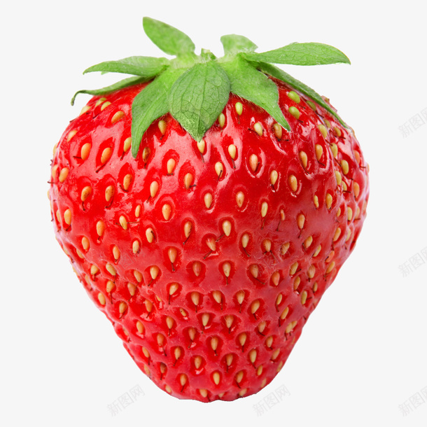 草莓新鲜水果png免抠素材_88icon https://88icon.com 新鲜 水果 草莓 鲜果