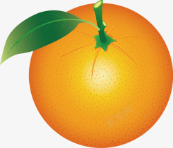 橘子手绘图案图图网矢量图素材